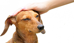 03.png