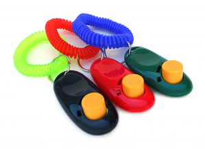 Clickers_2.jpg