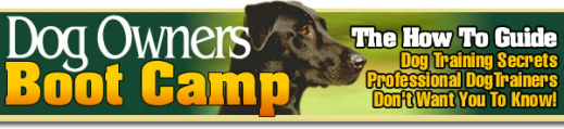 dobc_header.jpg